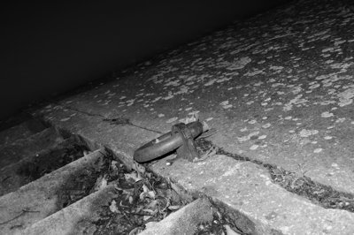 Faut s'accrocher dans la vie_4335607284_l.jpg